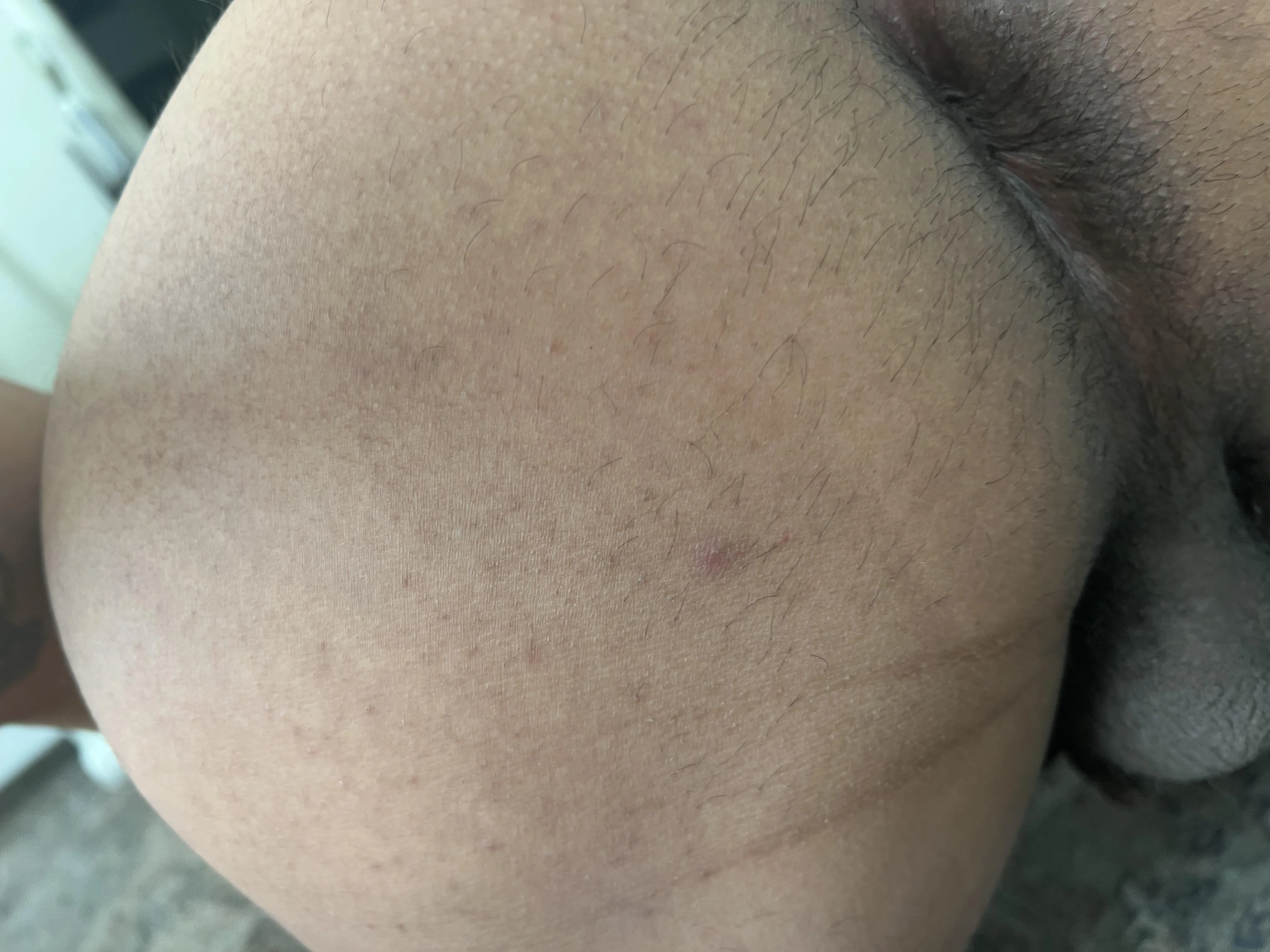 35 Petaluma hosting for bbc/bwc