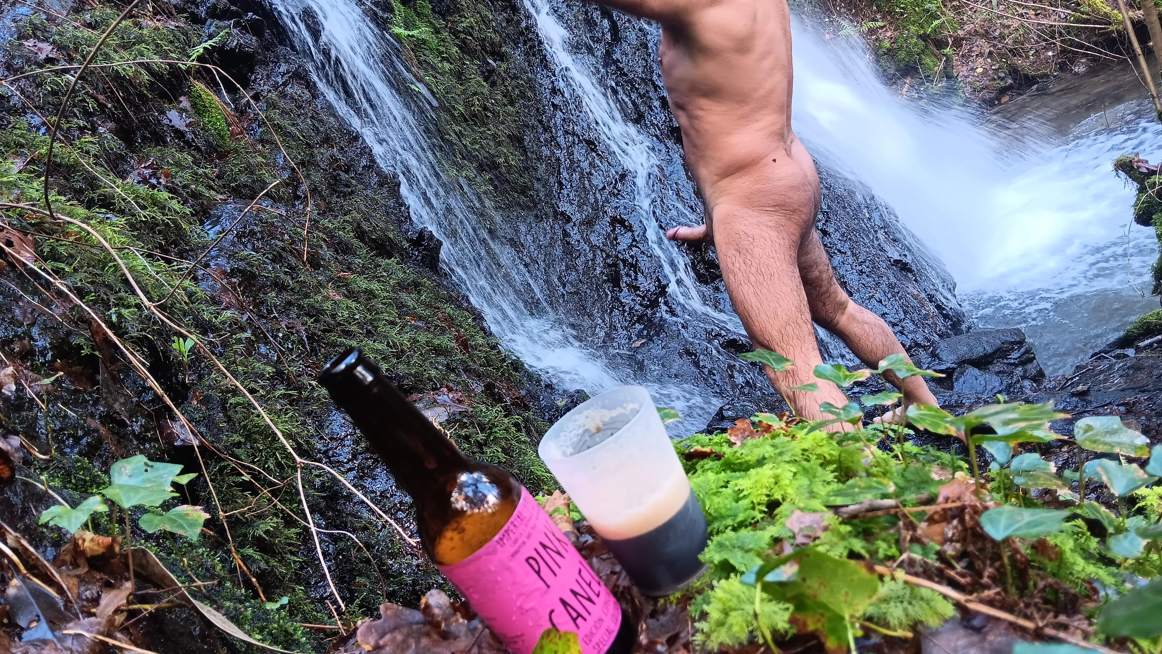 In the waterfall, imperial stout with cinnamon and pink peppercorn
