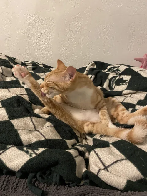 [m] spread wide and not shy