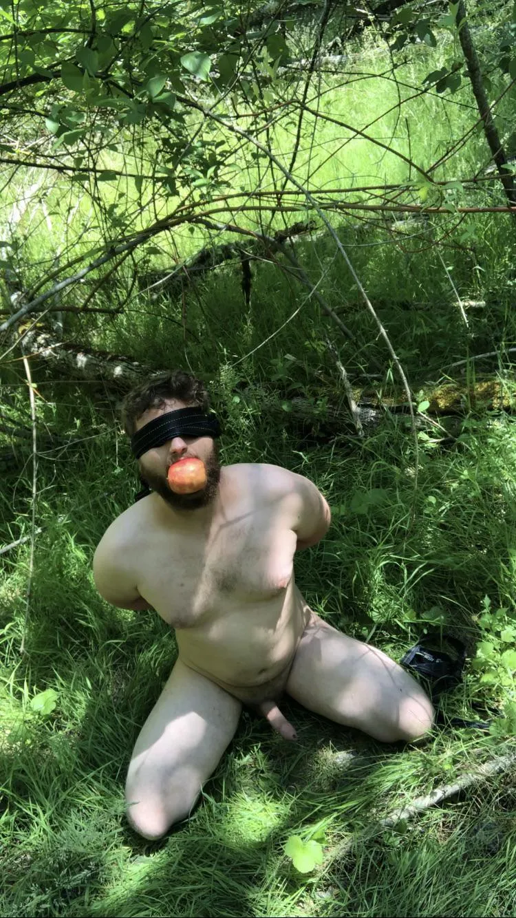 Waiting in the woods