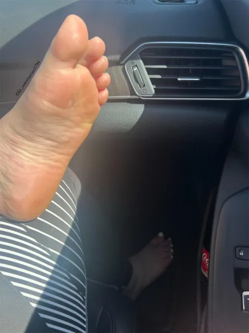 Would you stop and admire them?