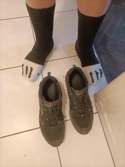 anyone wanna go for walkies? 👉👈 🐶