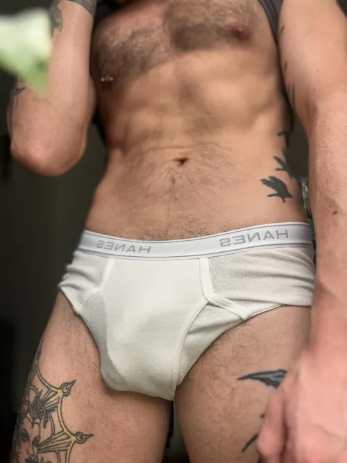 Briefs
