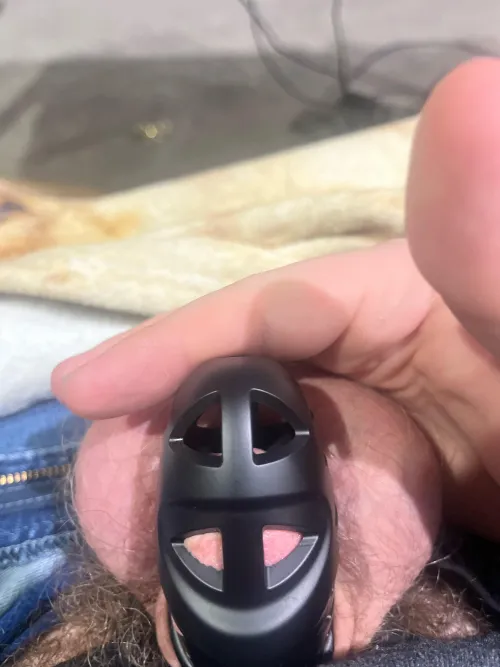 Hardly even filling my new cage halfway…..