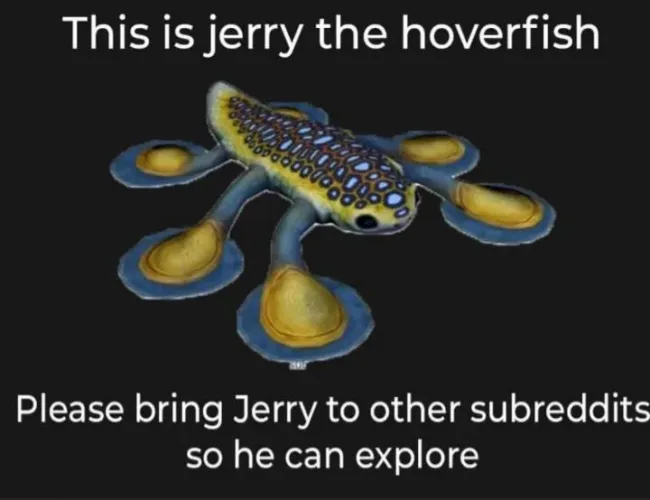 No horny only jerry