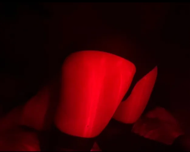 Oh no, I’d hate it if someone’s tongue found its way to my ass