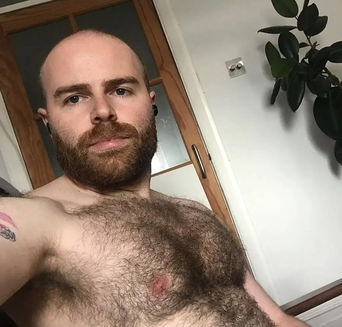 See you in my DMs pigs 😉