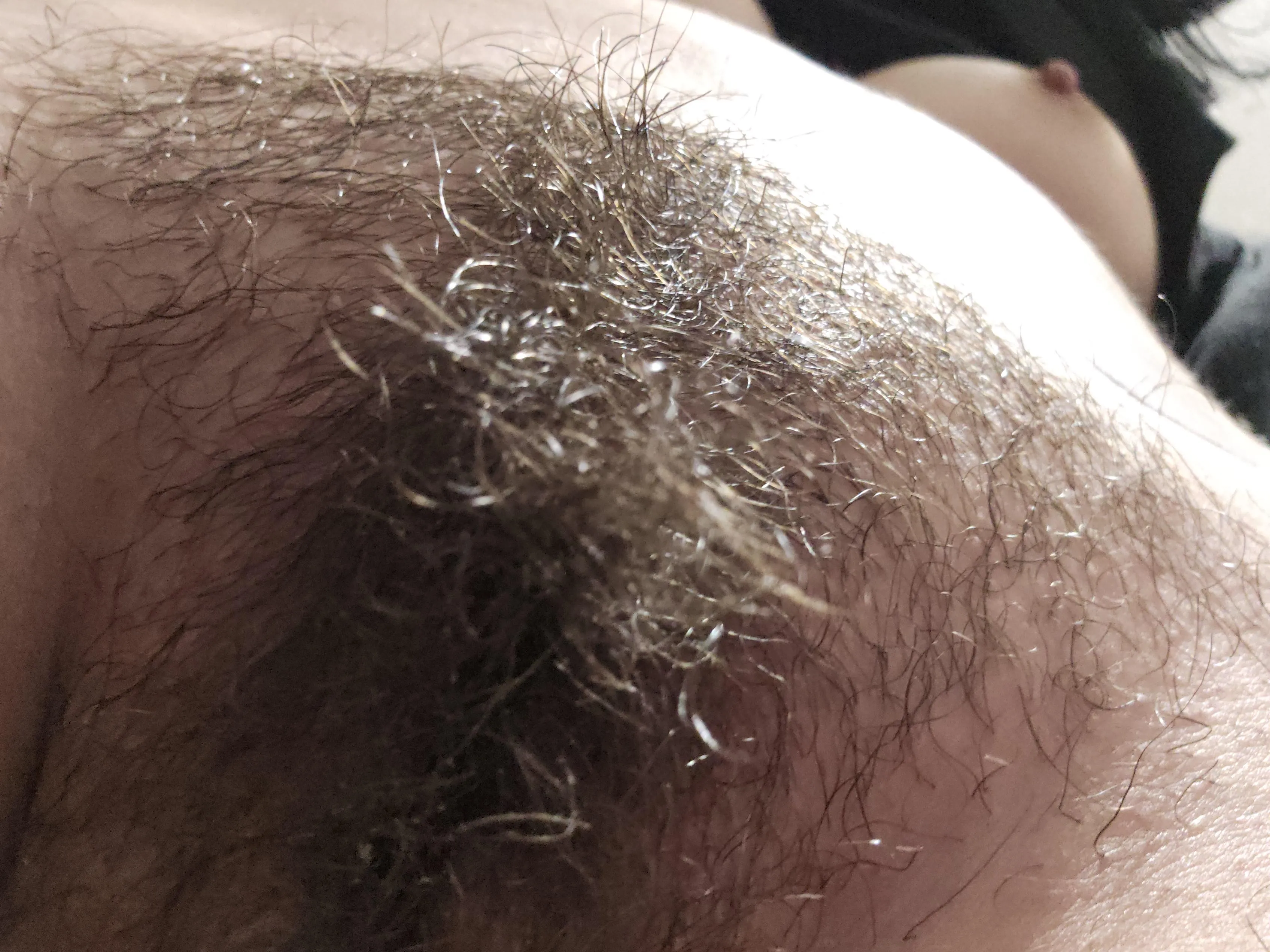 Very proud of my bush :)