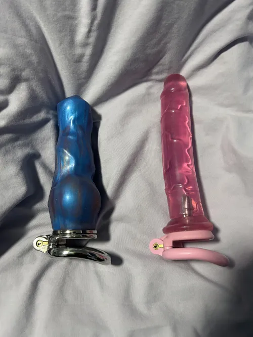 Add to my collection