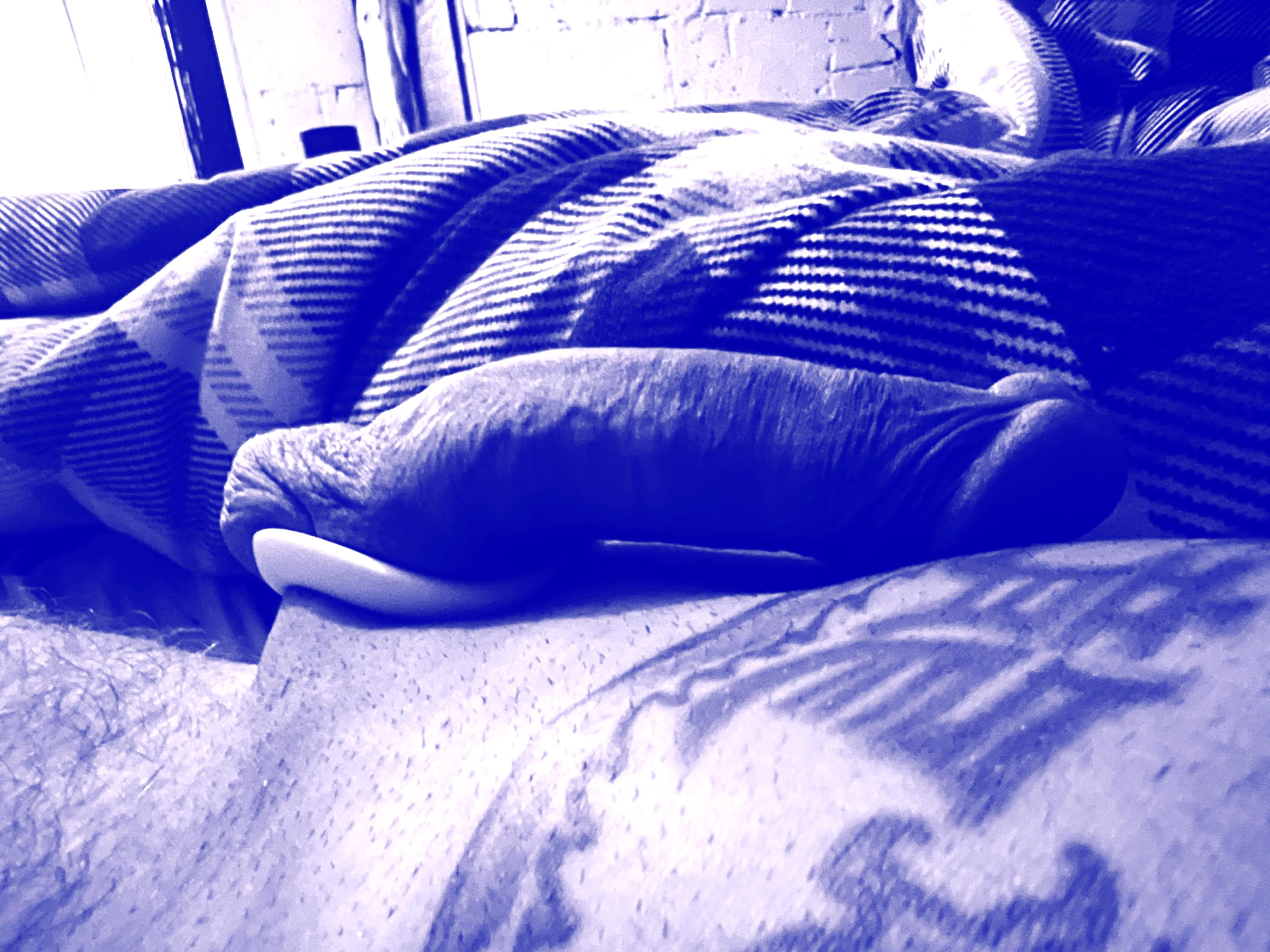 After an EnRinged night