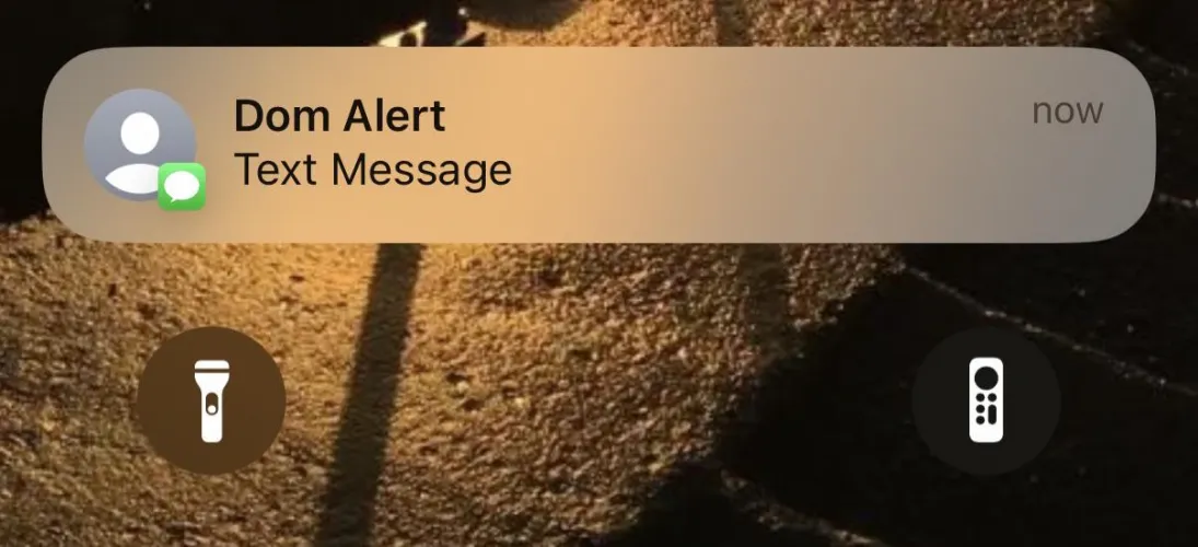 Domino’s need to rename their pizza tracker