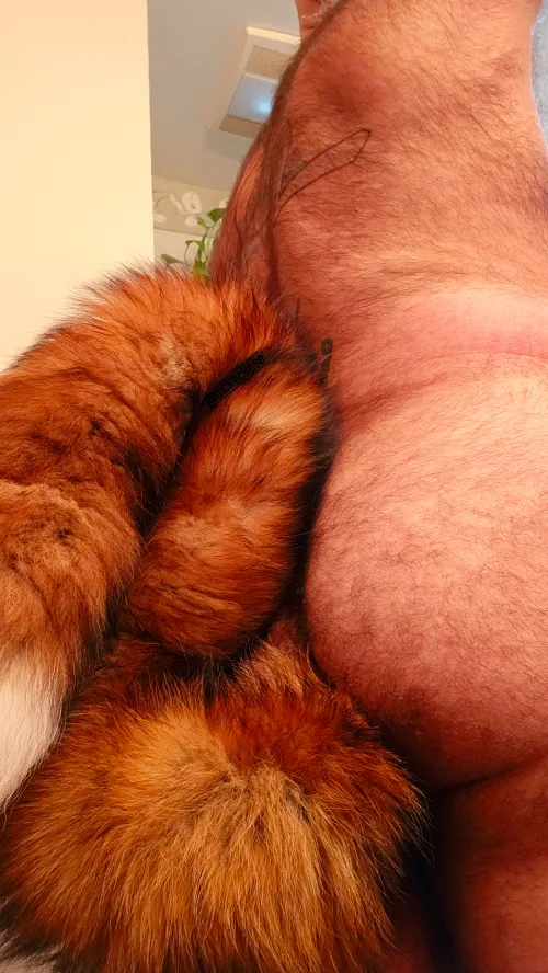 🖤🖤🖤 i love my new tail!