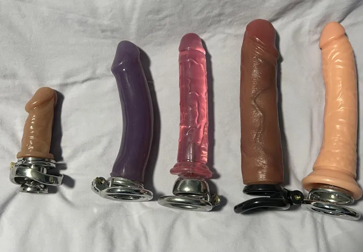 My collection of chasitidicks