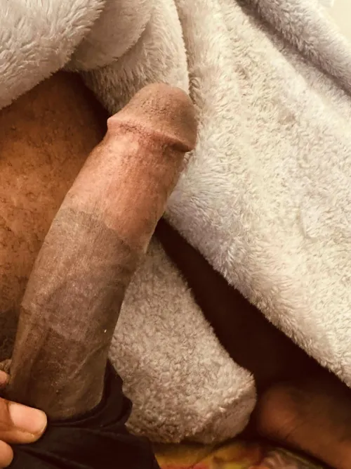 Need a sissy to stuff