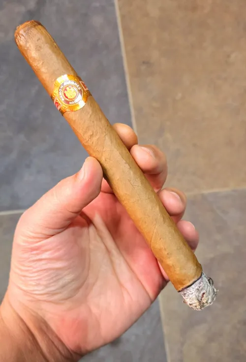 The Warrior King's older brother