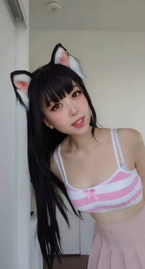 This kitten will be faithful to her owner