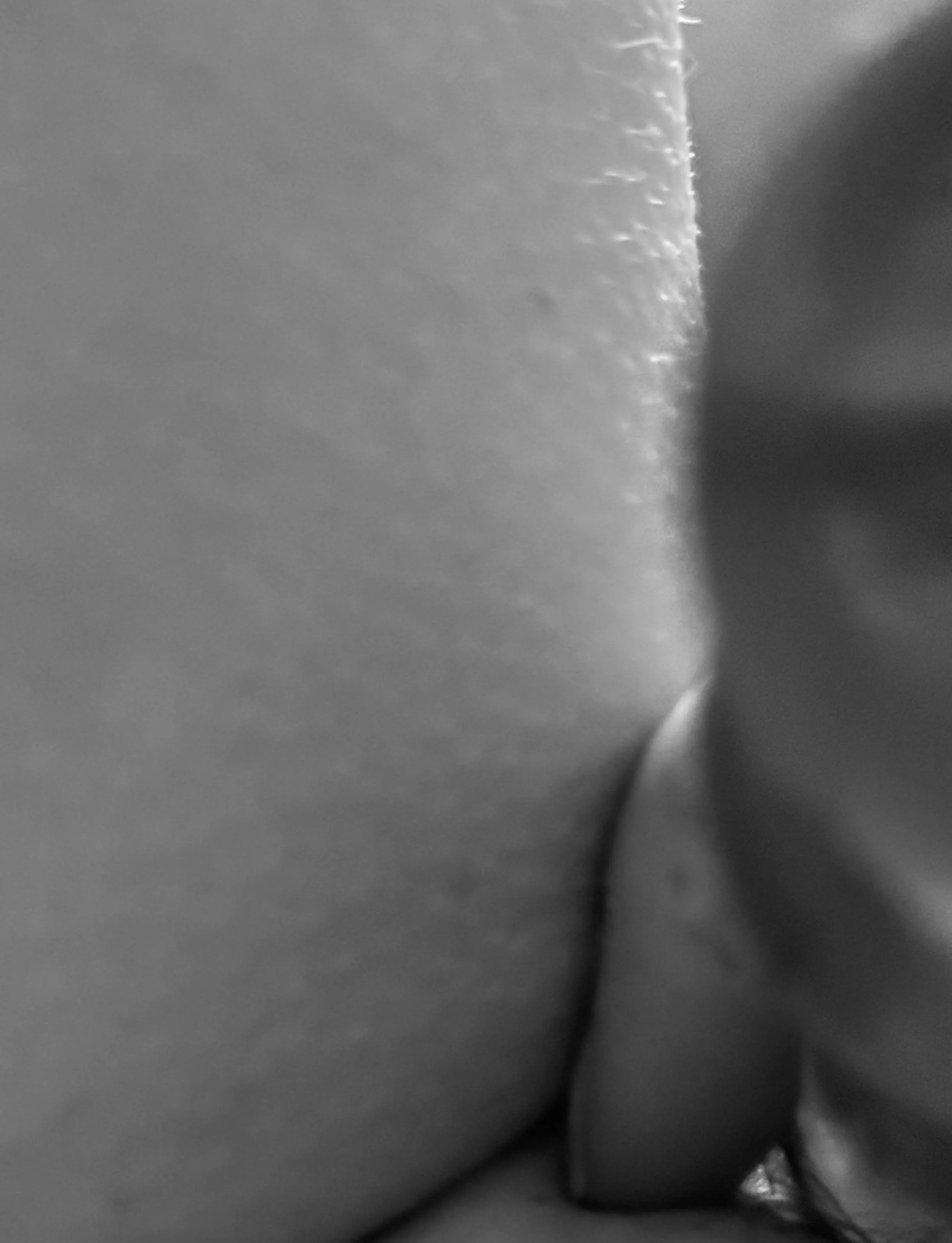 “Don’t fight the feelin’, Been pullin’ you in, allow me to touch you, hold you, baby, Just say when… Go on and surrender to a tender,  sweet release, Well if you need, need, need someone to love …” mlgw