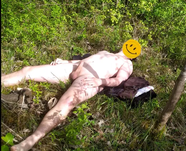 Enjoying the sun in view from the hiking trail