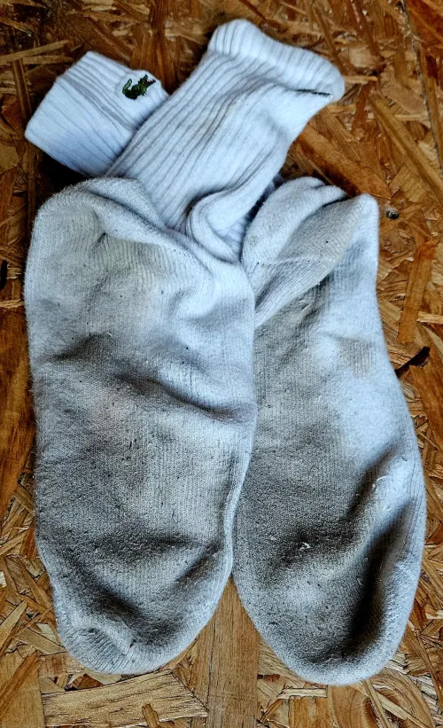 Highest bid gets the socks. Shipping is on me.