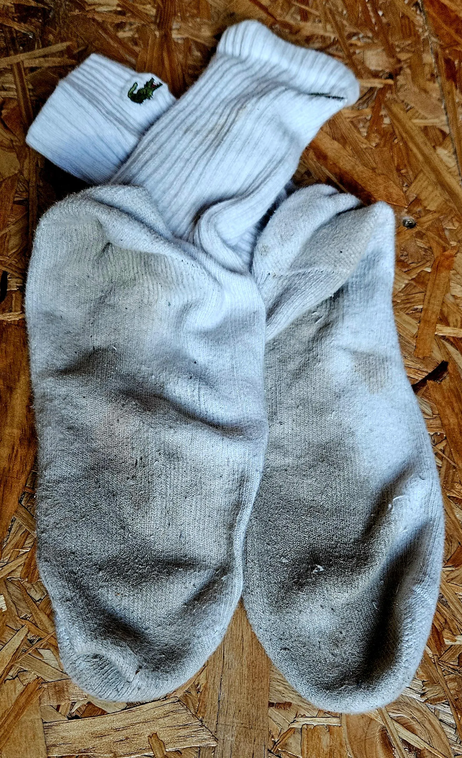 Highest bid gets the socks. Shipping is on me.