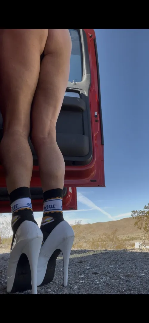 Looking for a couple of Friends to take turns in public!! Would you!?