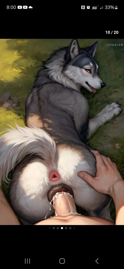 (M4F) home alone with my dog that's in heat