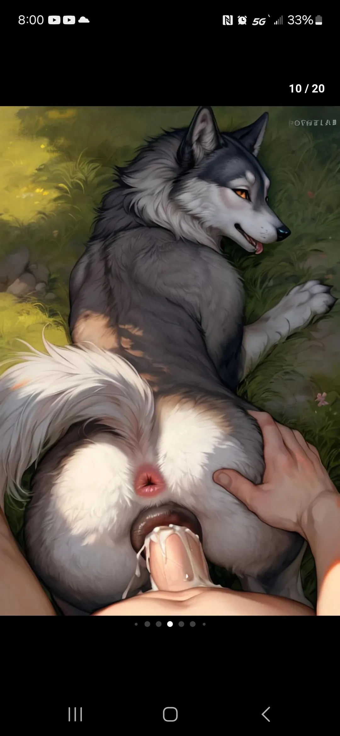 (M4F) home alone with my dog that's in heat