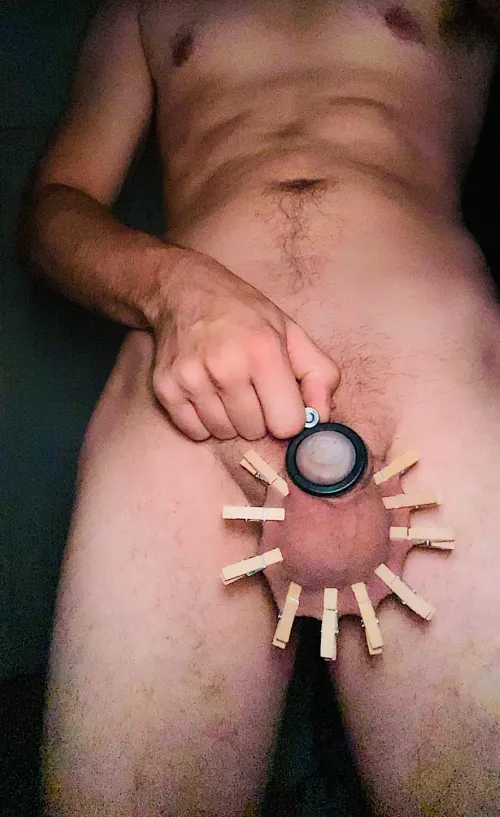 Rip off the clothes pins and beat them till they are swollen in the cage