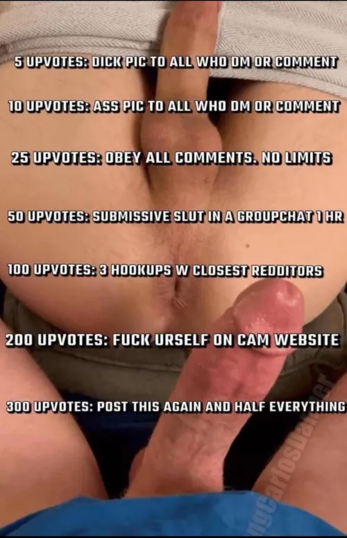 Spam me with upvote and comments 😖