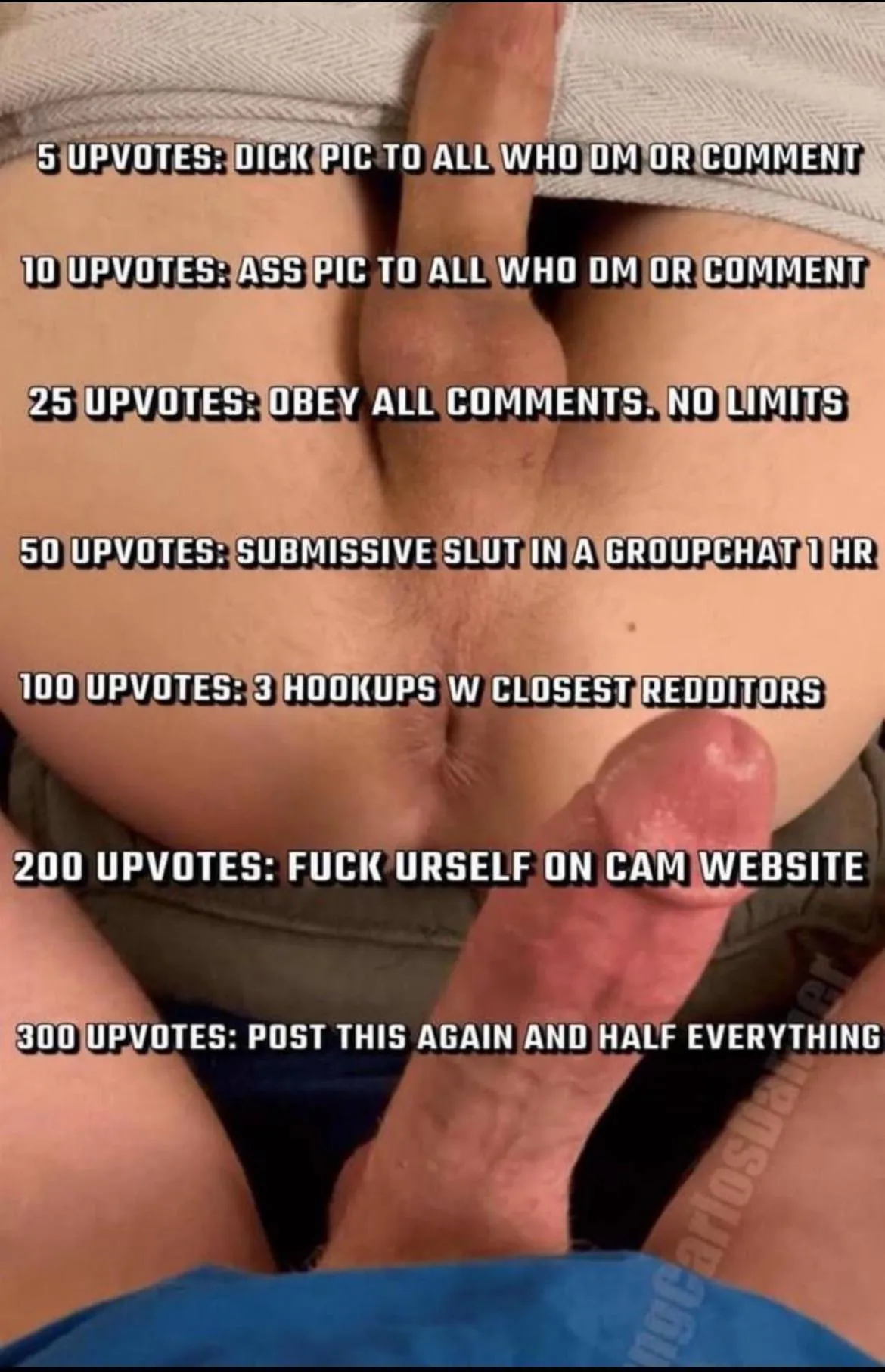 Spam me with upvote and comments 😖