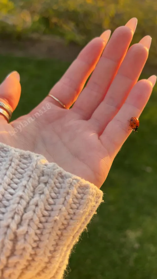 Gentle hands for everything and everyone but you 🐞