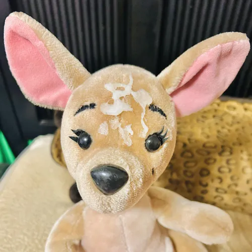 Kanga gets her first load 🥰