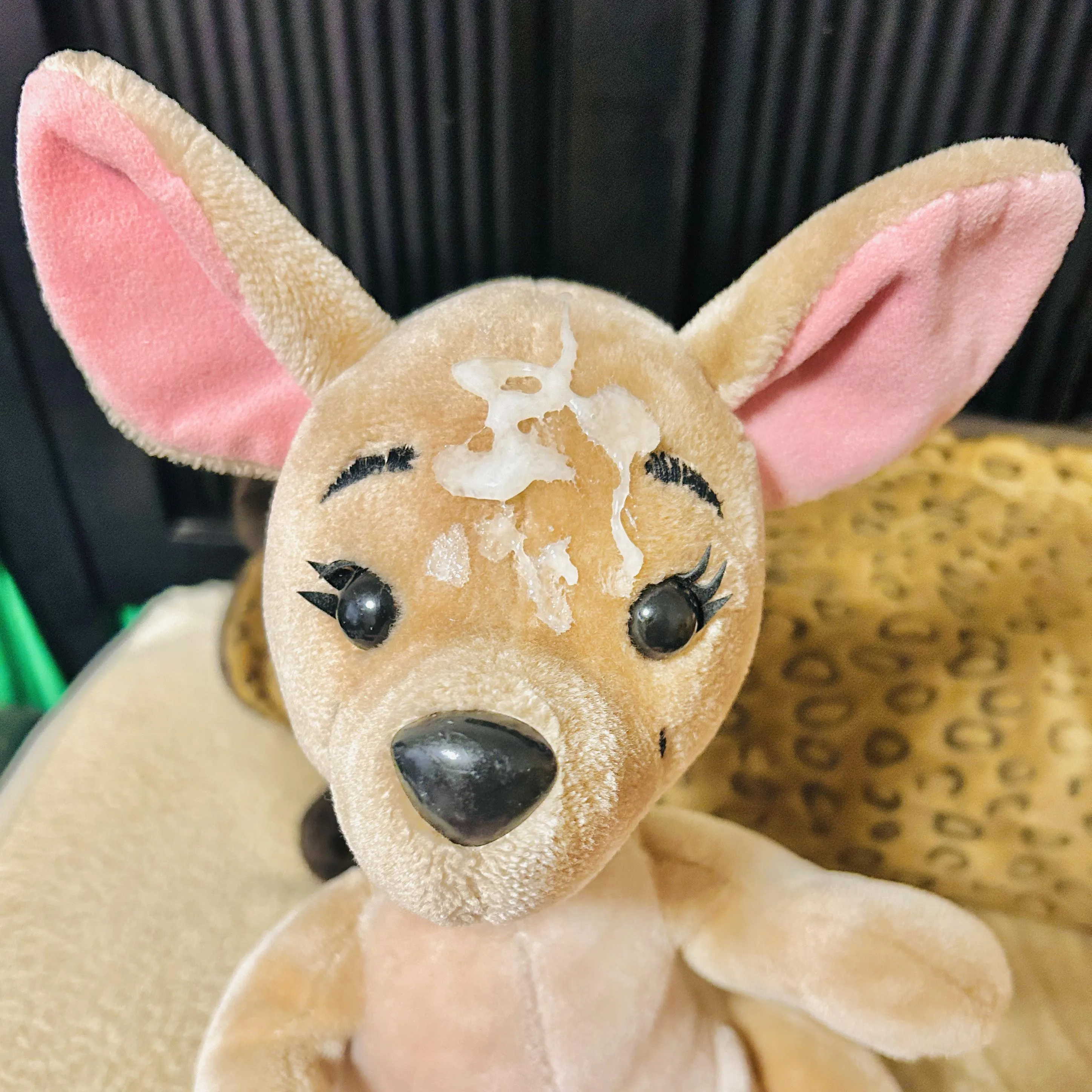 Kanga gets her first load 🥰