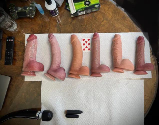 Let the housesitting shenanigans commence