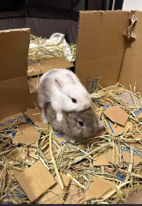 to all our newfriend writers out there