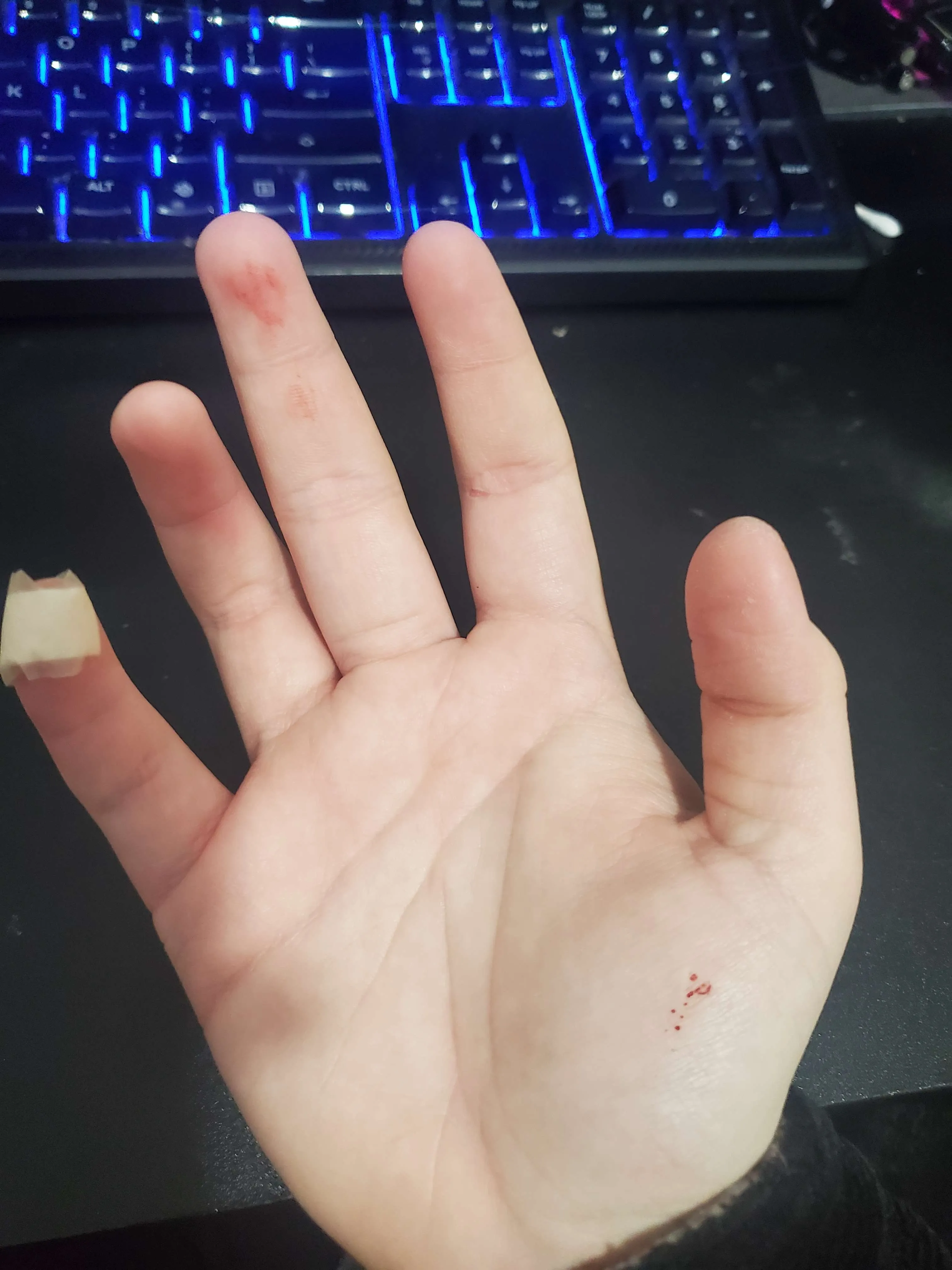 Cut myself on blade of glass that was hiding in the trash (small drops of leftover blood)