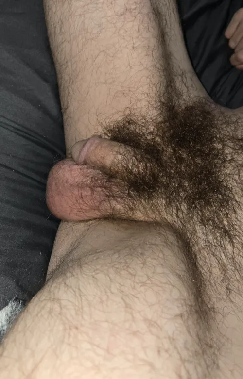 Furry guys allowed here? (40)