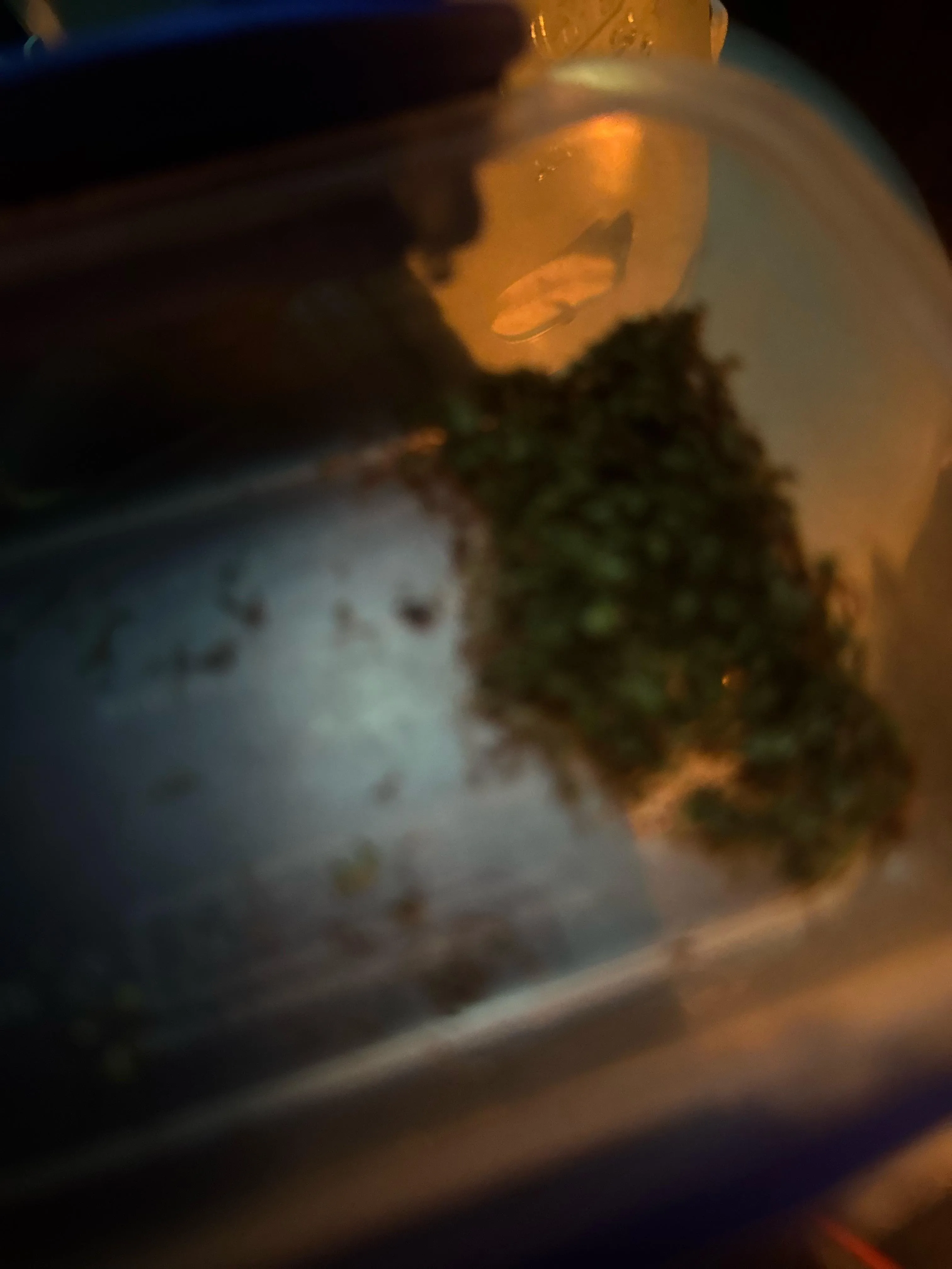 M 24 Any f near Clifton Keen I’m horny asf