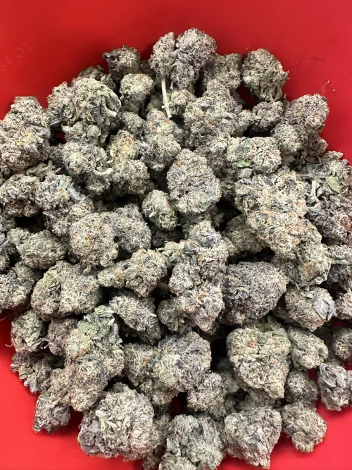 North Dallas - 🍪✨