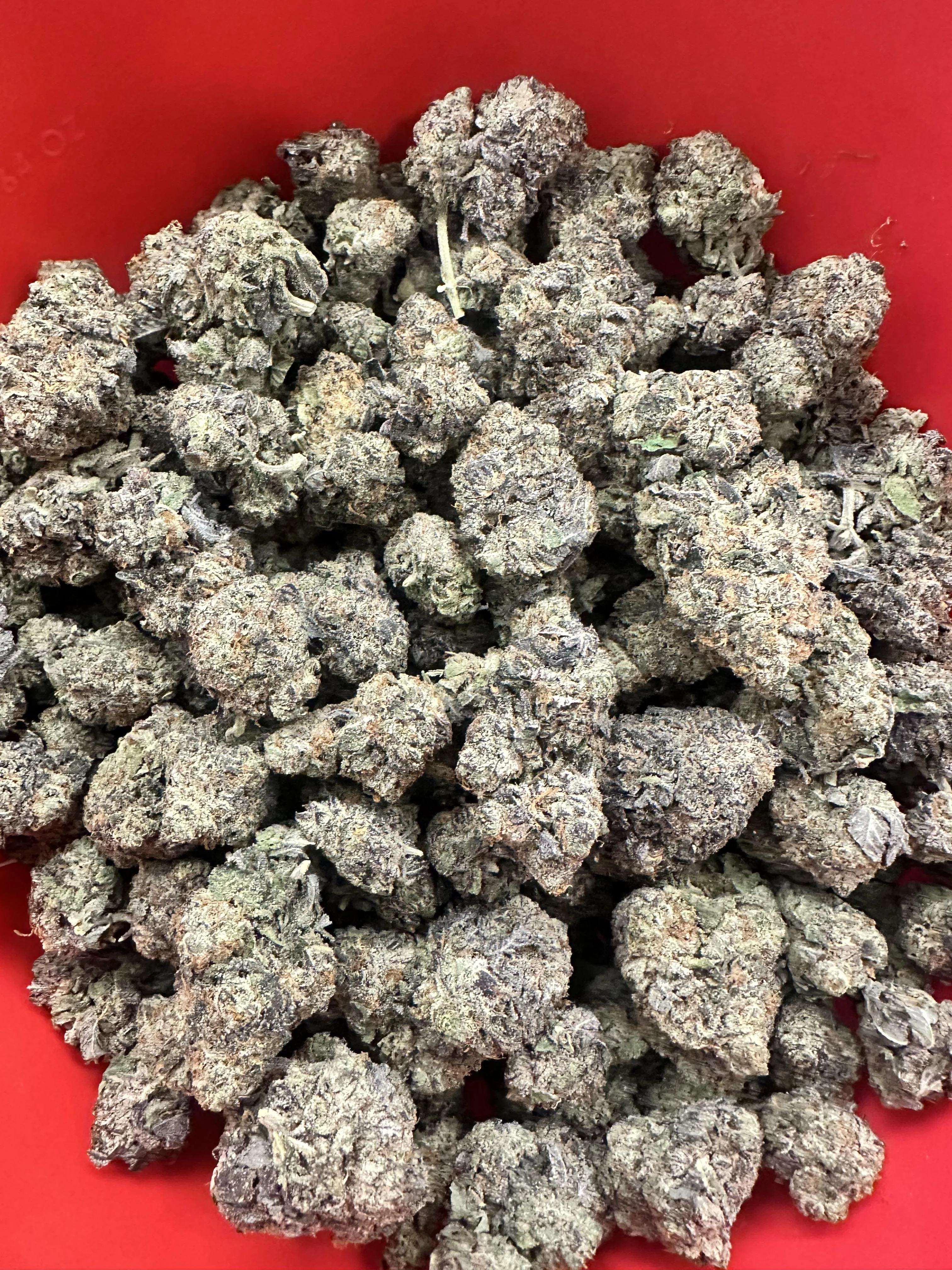 North Dallas - 🍪✨