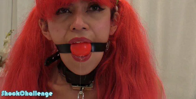 Azul is back at Shockchallenge.com! Can she go to level 15?