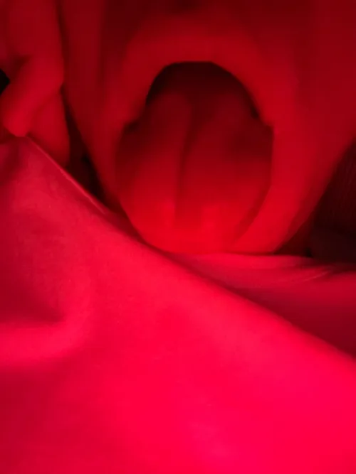 Bicurious søger en daddy. 18 år søger ældre