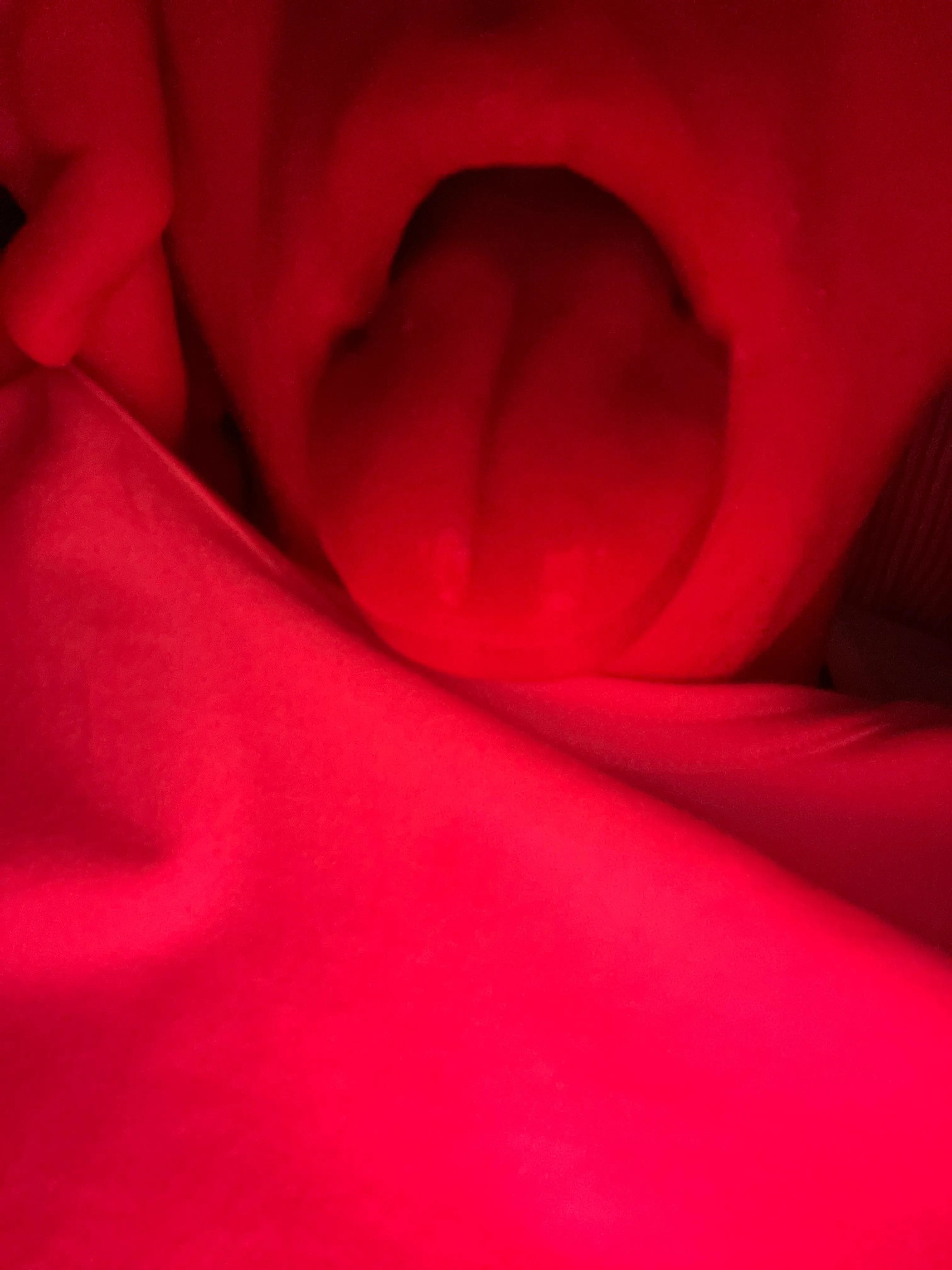 Bicurious søger en daddy. 18 år søger ældre