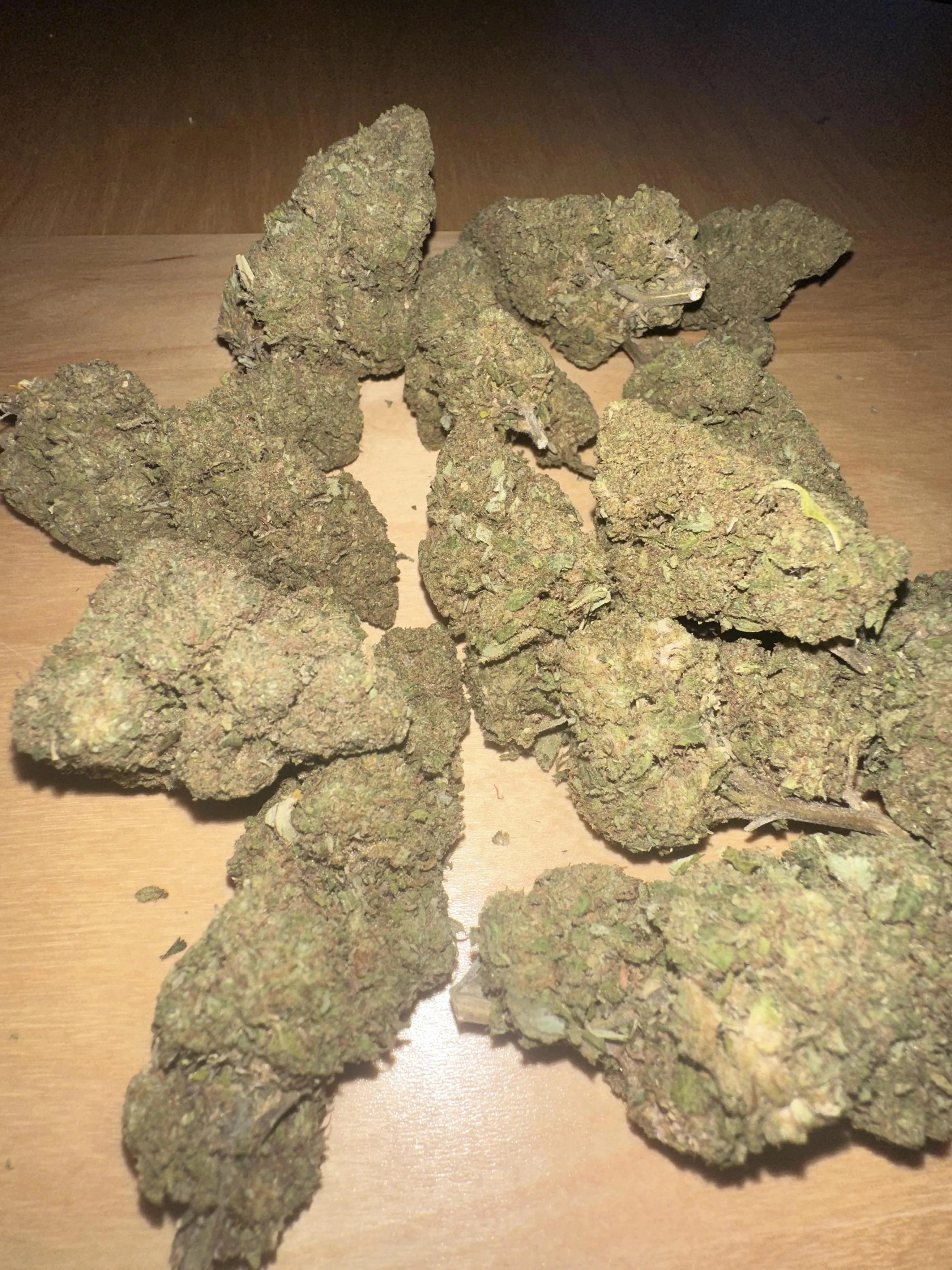 CBD blomst. 19.9% CBD - 0,3% THC. Thin mint GSC grape pie