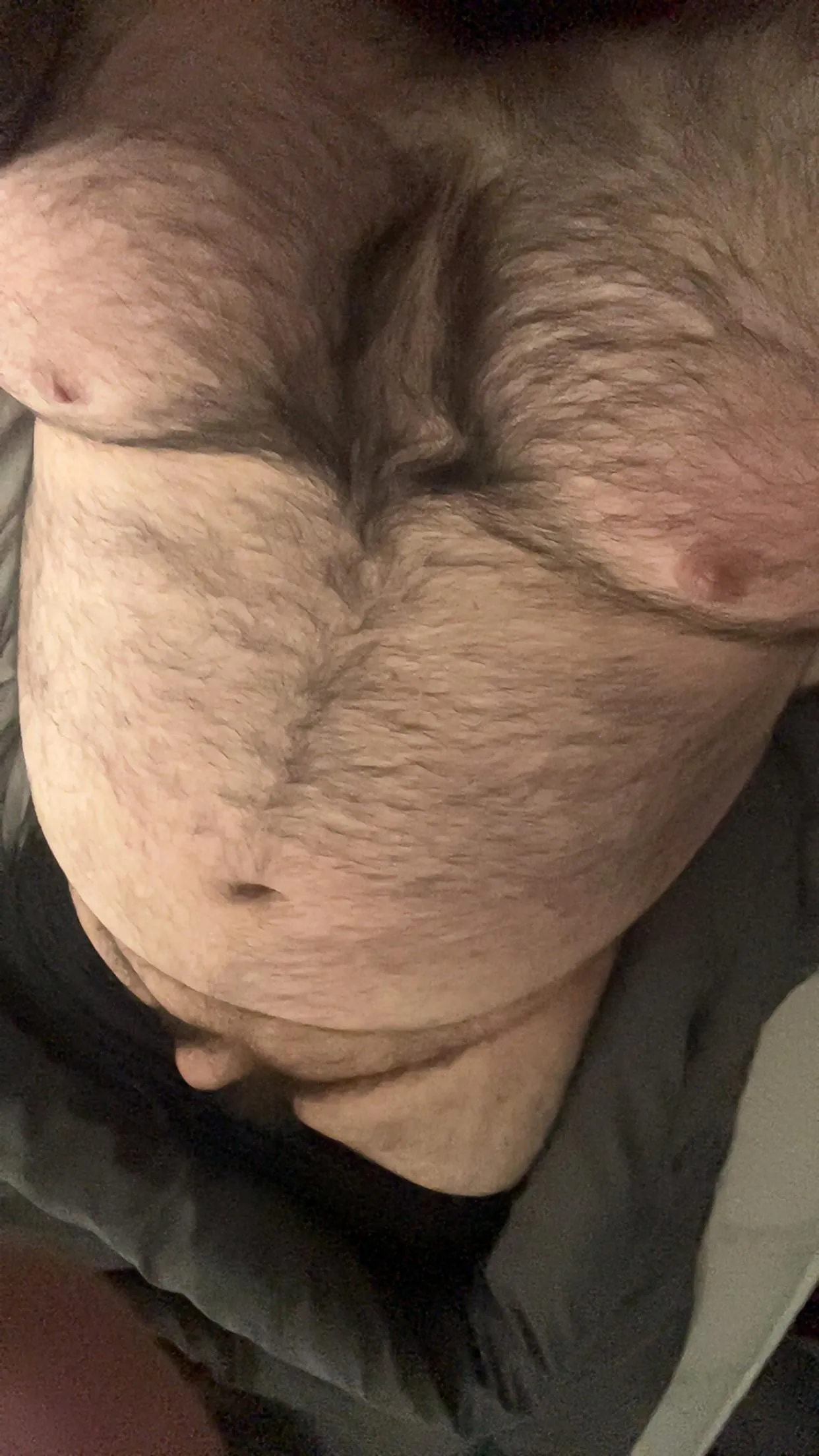 Don’t mind the fur