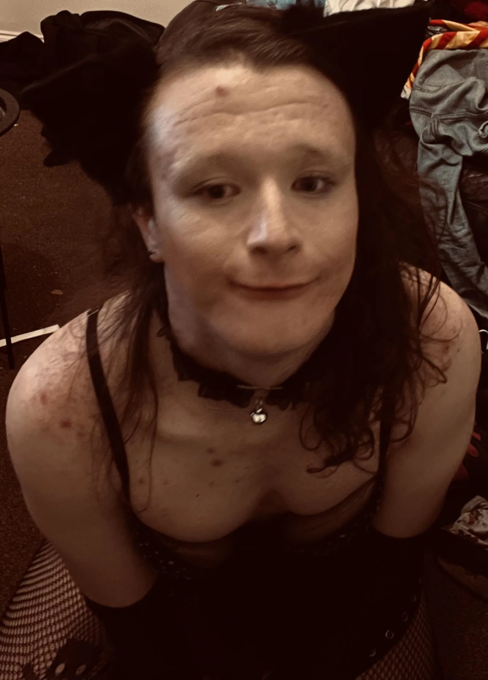 Friendly neighborhood kitty