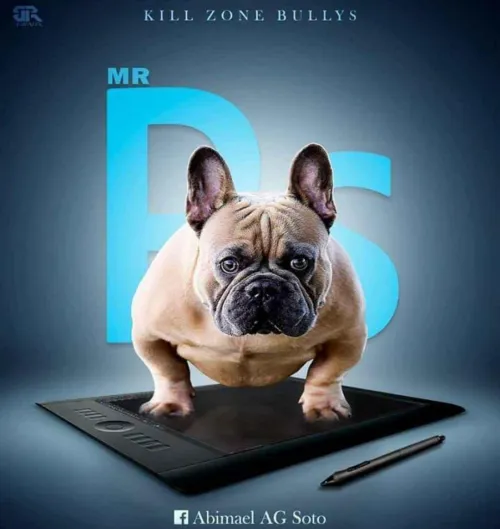 Idk what yall are talking about but I fw this dog fr 🔥🔥