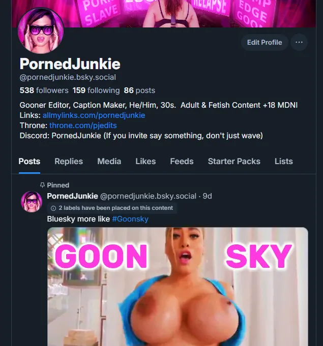 I'm now at over 500 followers on Bluesky! Make sure to give me a follow there.