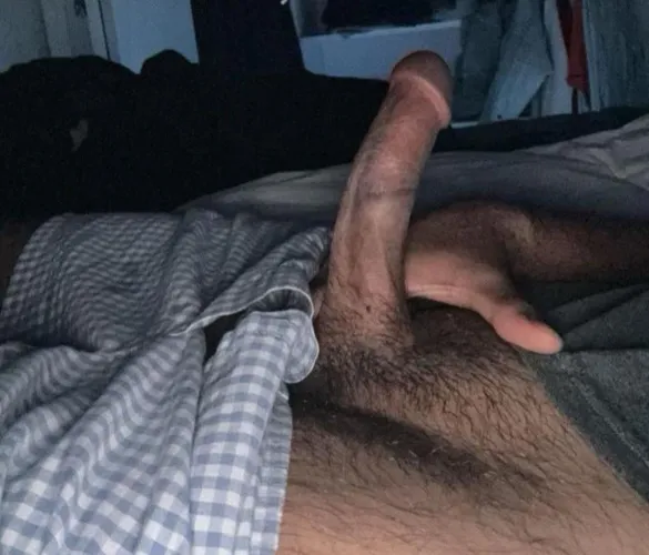 21 M fit top bbc here in Bellevue looking for a sissy dm me