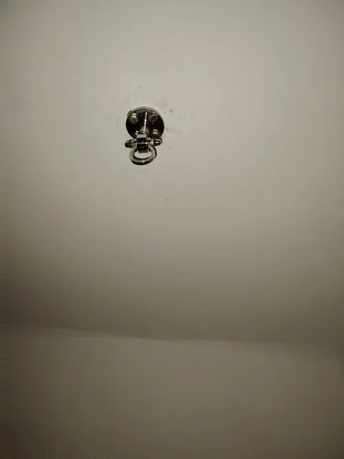 Ceiling hook